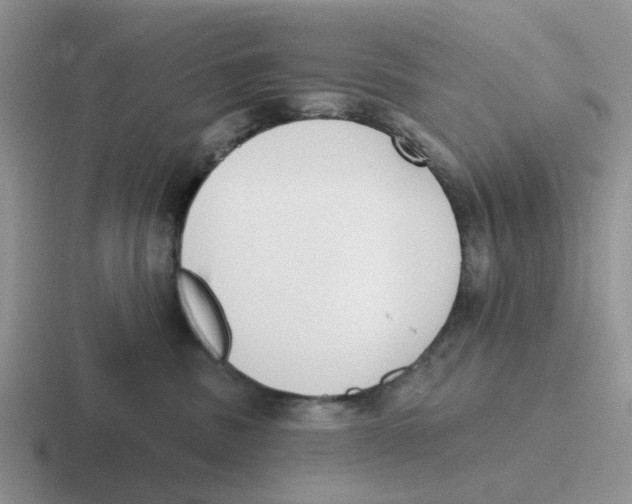 X0000116650379201001041055