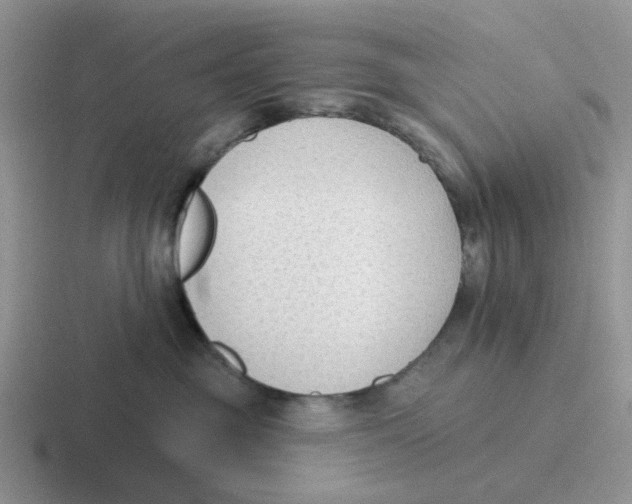 X0000116650381201001041055