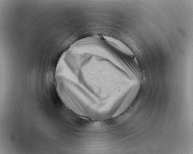 X0000116650382201001041055