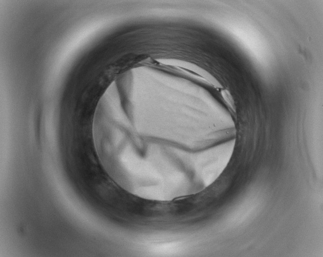 X0000116650383201001041055