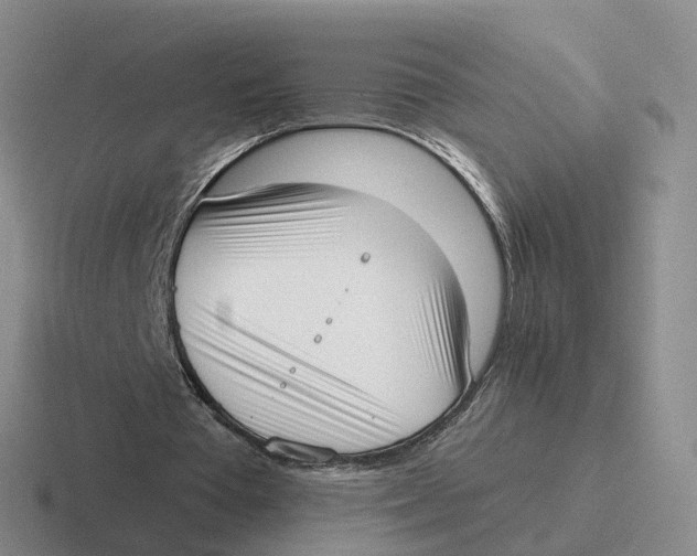 X0000116650385201001041054