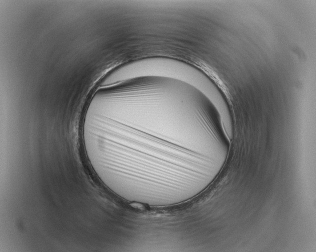 X0000116650386201001041054