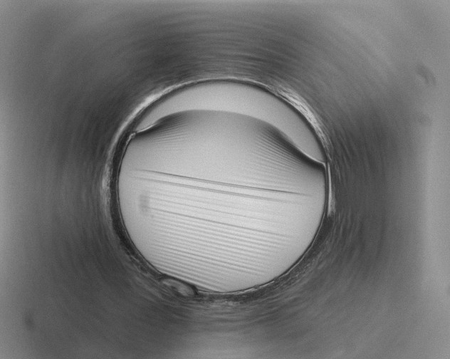 X0000116650387201001041054