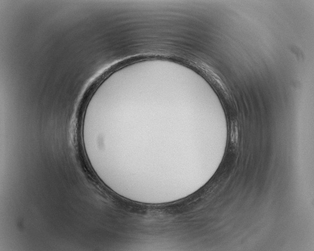 X0000116650388201001041054