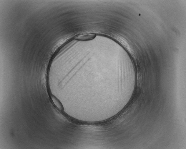 X0000116650389201001041054