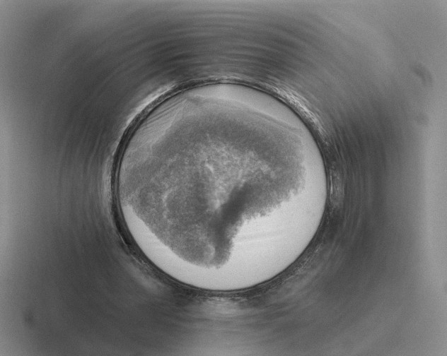 X0000116650390201001041054