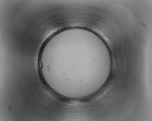 X0000116650391201001041054