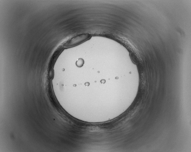 X0000116650392201001041054