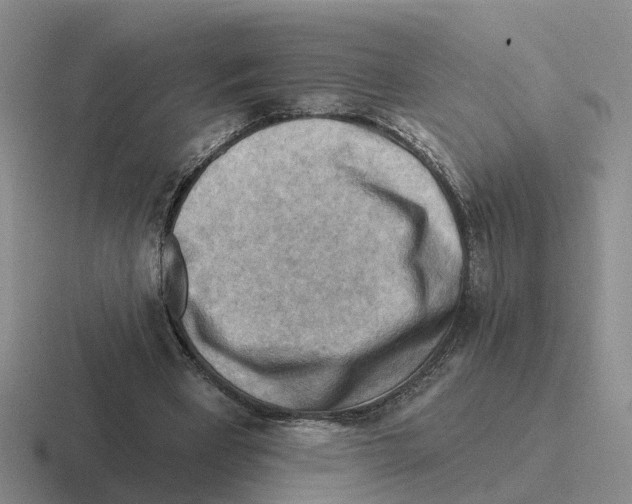 X0000116650393201001041054