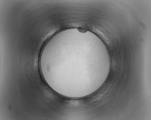 X0000116650394201001041054