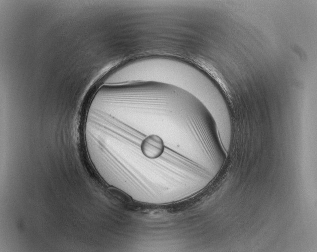 X0000116650395201001041054