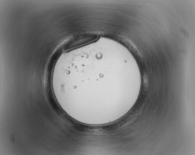 X0000116650396201001041054