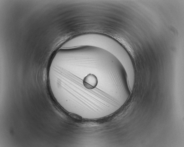 X0000116650397201001041054