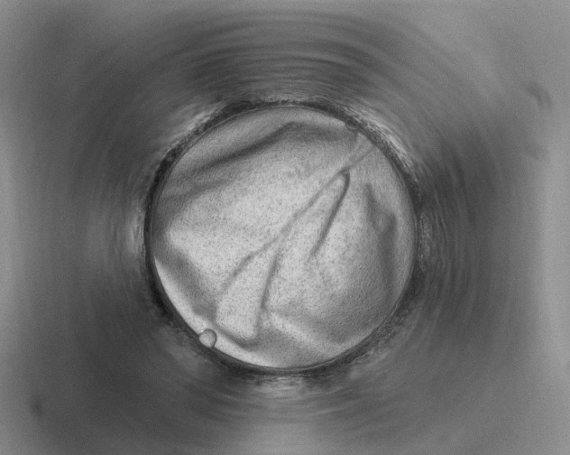 X0000116650398201001041054