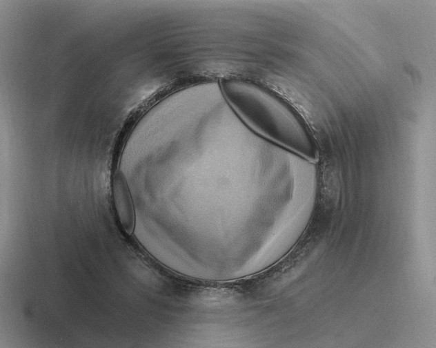 X0000116650399201001041054