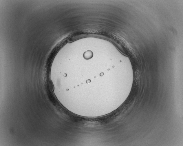 X0000116650400201001041054