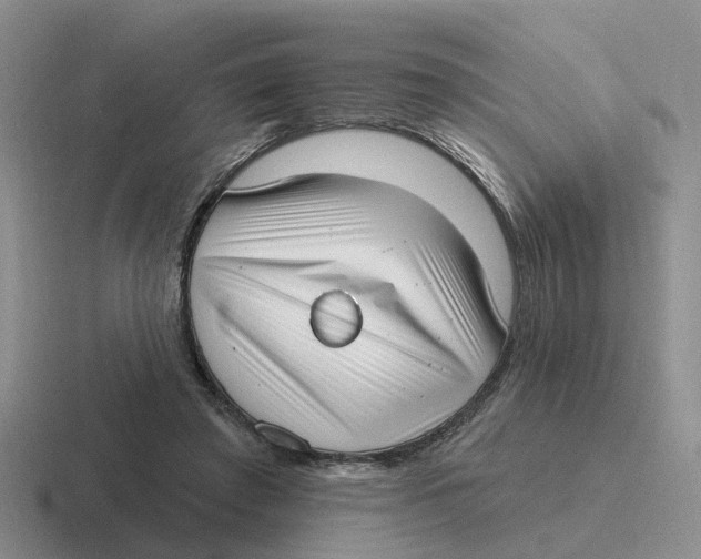 X0000116650401201001041054