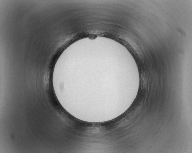 X0000116650404201001041054