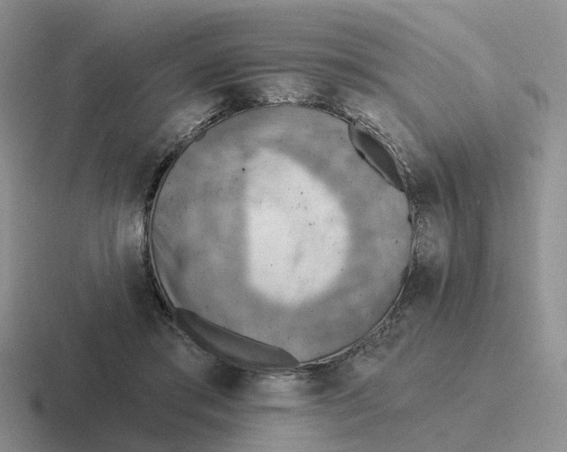 X0000116650405201001041054