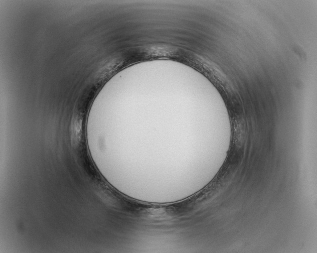 X0000116650406201001041054