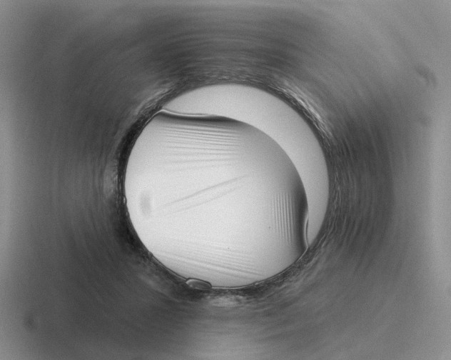 X0000116650407201001041054