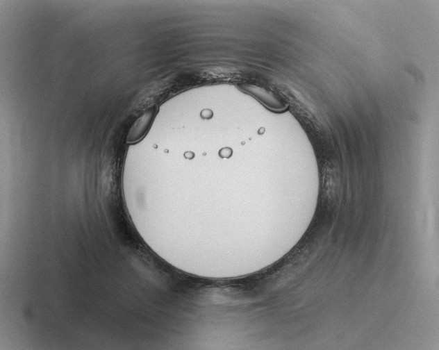 X0000116650408201001041054