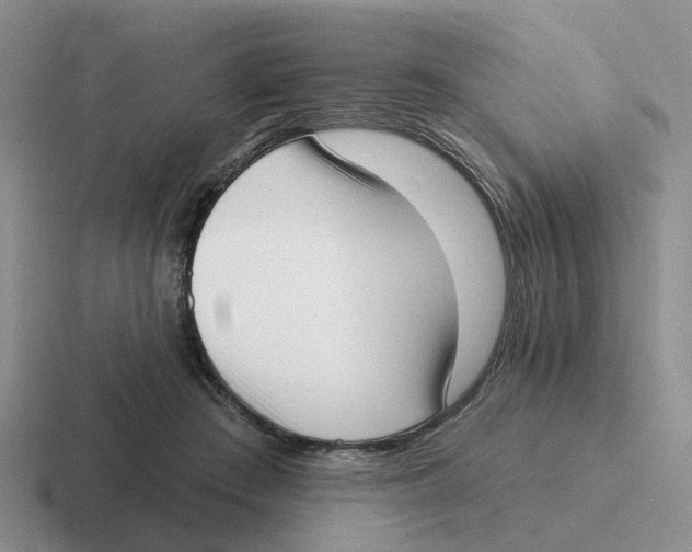 X0000116650409201001041054