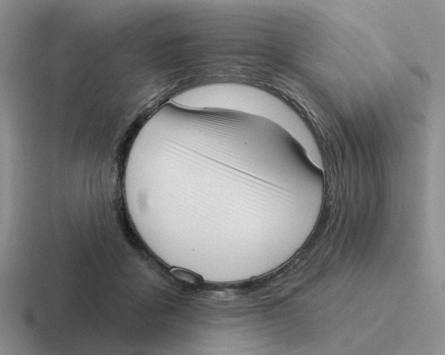 X0000116650411201001041054