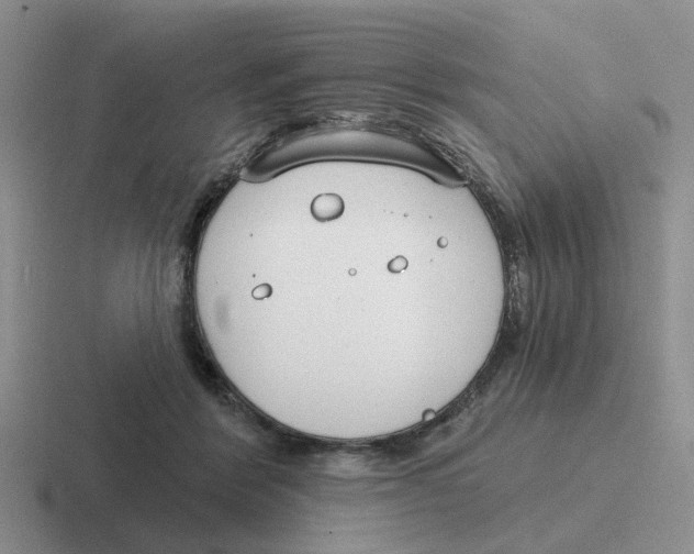 X0000116650412201001041054