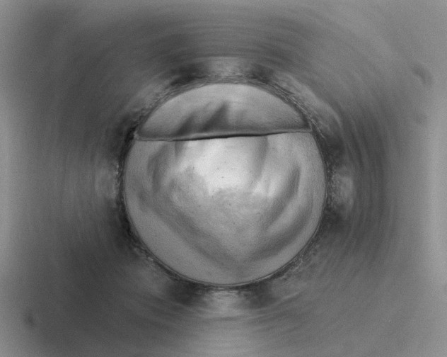 X0000116650413201001041054