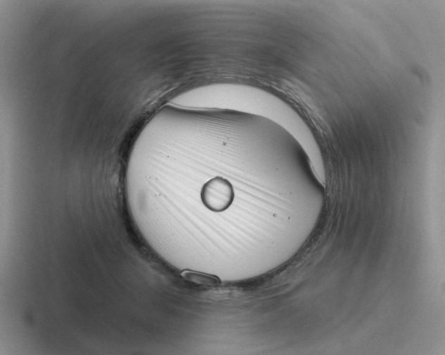 X0000116650415201001041054