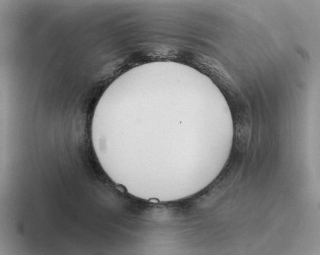 X0000116650416201001041054