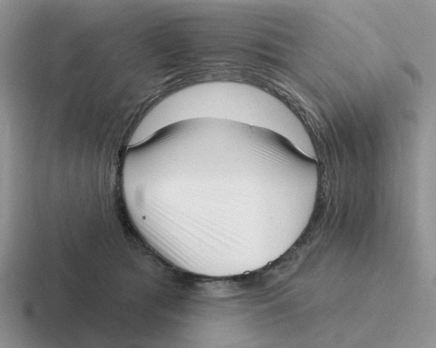 X0000116650417201001041054