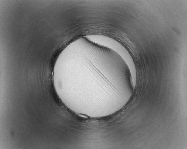 X0000116650419201001041054