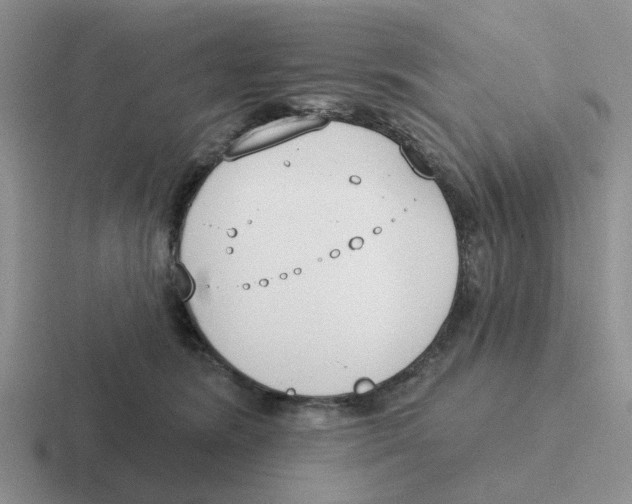 X0000116650420201001041054