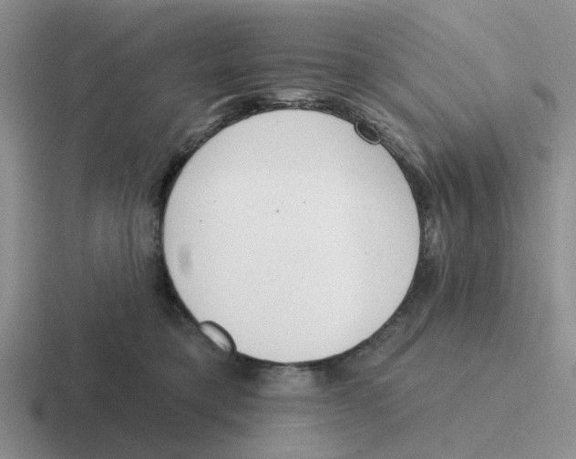 X0000116650421201001041054