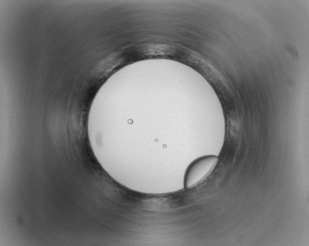 X0000116650422201001041054