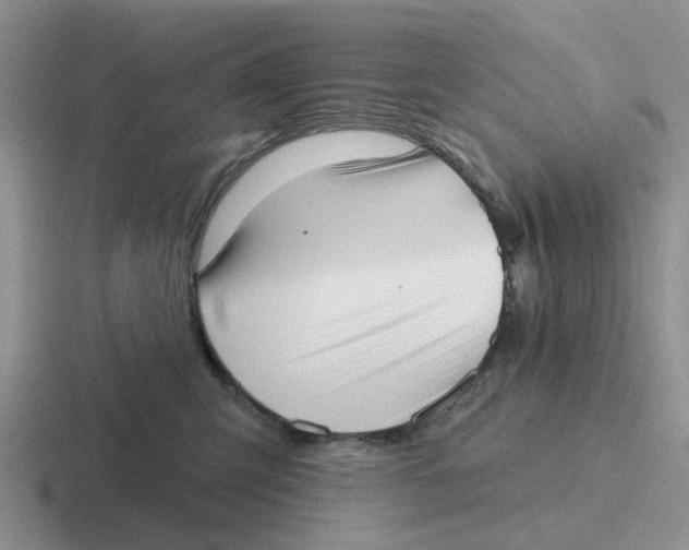 X0000116650423201001041054