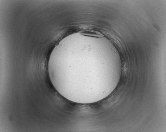 X0000116650424201001041054