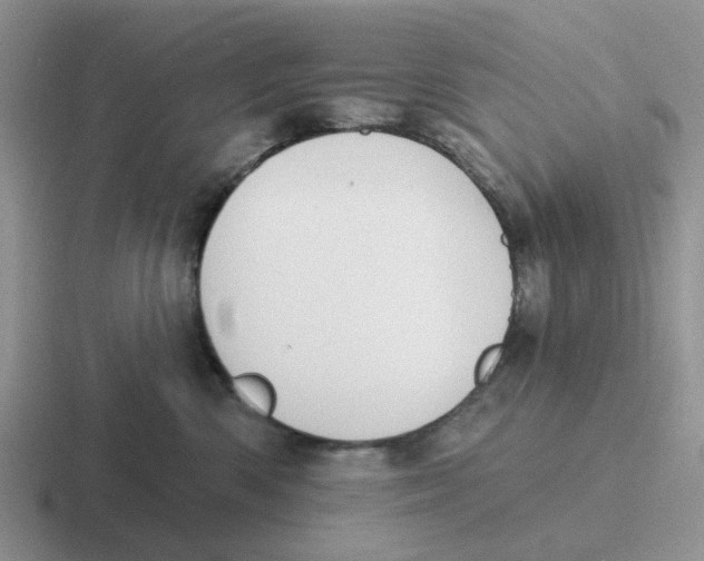 X0000116650426201001041054