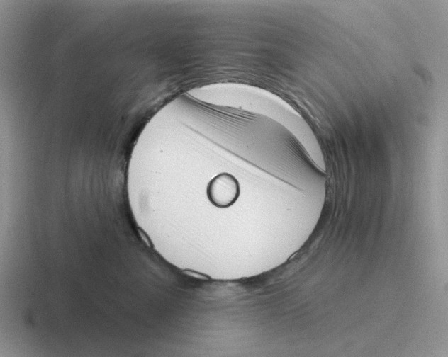 X0000116650427201001041054