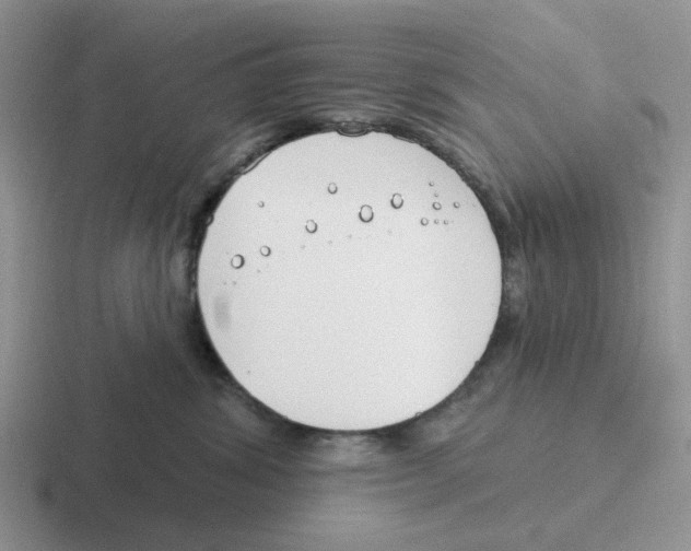 X0000116650428201001041054