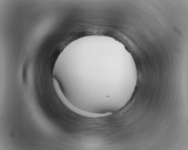 X0000116650429201001041054