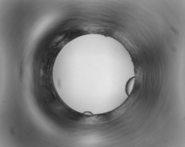 X0000116650430201001041054