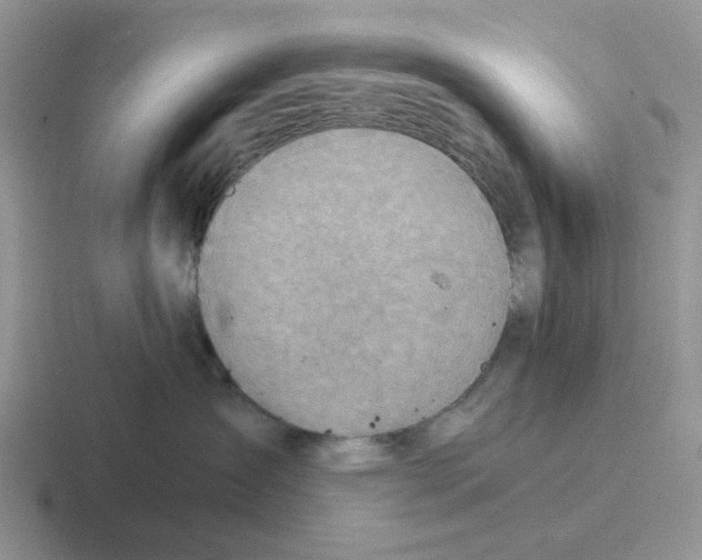 X0000116650431201001041054