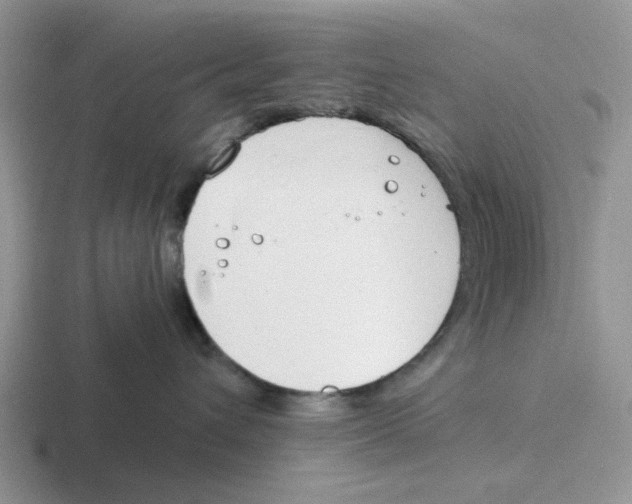 X0000116650432201001041054