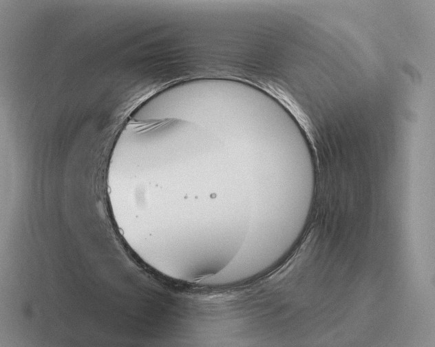 X0000116650433201001041053