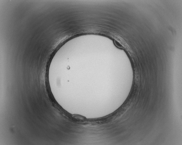 X0000116650434201001041053