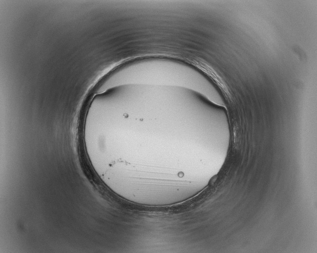 X0000116650436201001041053