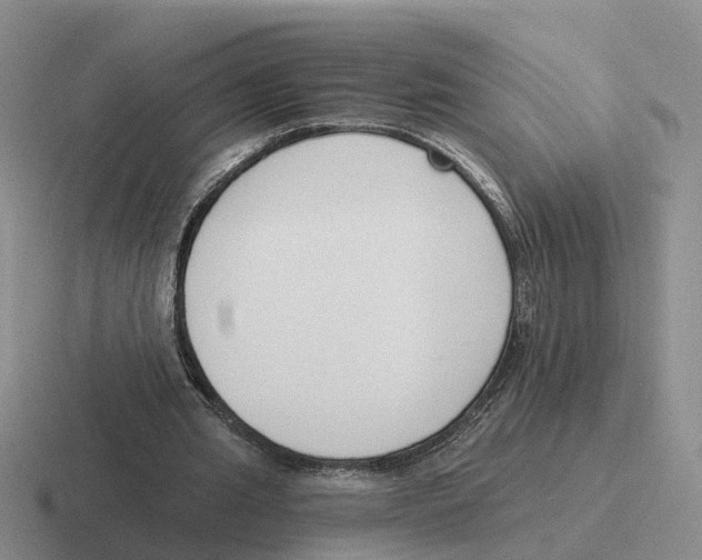 X0000116650437201001041053